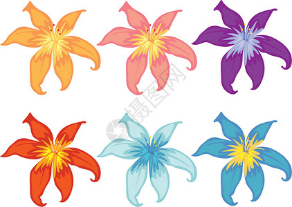 不同颜色的花朵插图团体红色紫色粉色橙子蓝色收藏花瓣背景图片