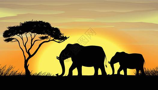 2个大象素材树下大象后代父亲母亲幼兽父母土地太阳比丘沙漠动物设计图片