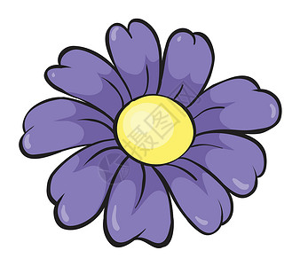 紫雏菊紫花朵阴影紫色庆典绘画植物黄色草图植物群花瓣雏菊设计图片