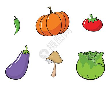 青南瓜蔬菜食品农业剪贴墙纸沙拉绿色植物营养食物茄子绘画插画