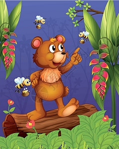 蜂蜜与熊素材森林中的熊和蜜蜂鼻子耳朵胸部动物天线植物卡通片栖息地花朵蜂蜜设计图片