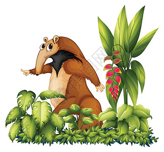 野生动物眼睛香蕉生长头发蚂蚁身体棕色动物绿色卡通片高清图片