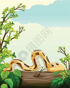树上有一条蛇丛林蟒蛇草地灌木林地天空场景爬虫绘画卡通片背景图片
