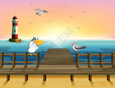 码头和小灯塔与鸟儿一起观望港口插画