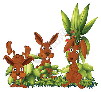 三只兔子树叶图片水果植物花朵动物卡通片粉色白色绿色白色的高清图片素材