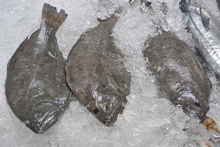 供在鱼市场出售的新鲜塑料美味高清图片素材