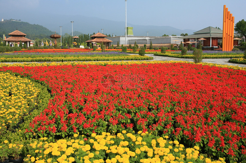 泰国清迈皇家植物博览会建筑学反射植物群旅游地标花园热带艺术历史贵族图片