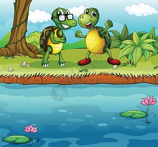池塘附近有两只玩耍的海龟高清图片