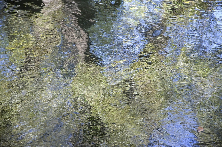 水表面的秋季反射涂料;在水面喷漆图片