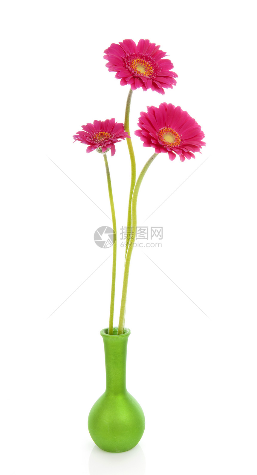 绿色花瓶中三朵粉红色的Gerber花朵图片