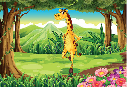 奔跑长颈鹿森林里的长颈鹿设计图片