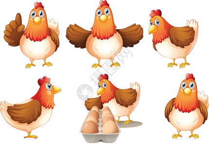 鸡妈妈和鸡宝宝一群脂肪母鸡设计图片