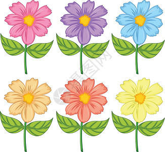 六彩花蓝色环境紫色谷物卡通片森林资源场地花粉团体插画