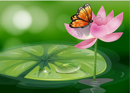 啜饮粉红花顶端的蝴蝶设计图片