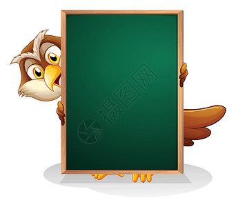 猫头鹰躲在黑板后面设计图片