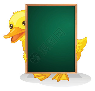 一只拿着黑板的鸭子背景图片