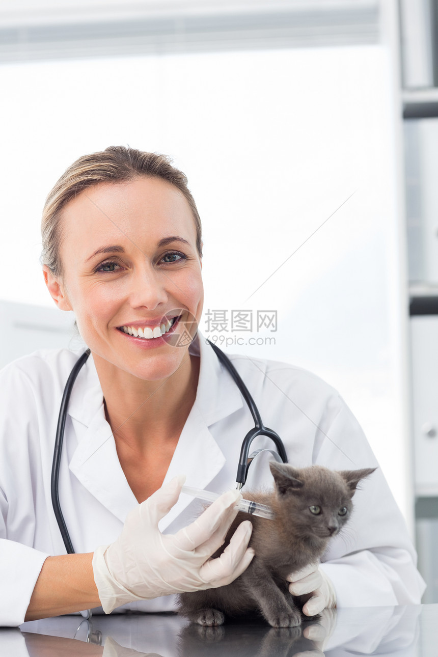 注射小猫的女兽医关爱专家主题办公室兽医疫苗医生手套桌子诊所图片