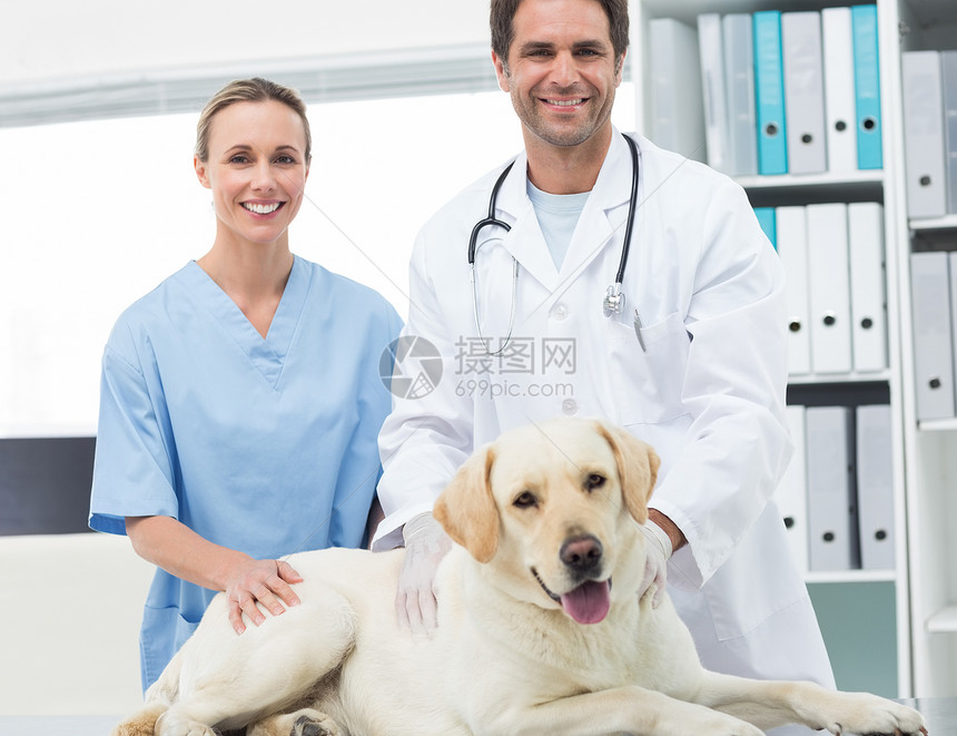 诊所有狗的兽医团队主题同事男性家畜检查医生女性伙伴关爱图片