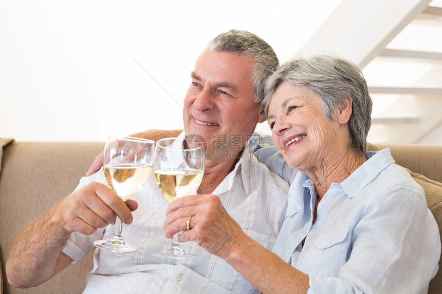 坐在沙发上喝白葡萄酒的老年夫妇女士感情住所成人房子男性退休长椅白酒客厅图片