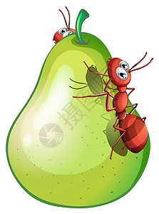 绿色梨一只梨 有两个蚂蚁设计图片
