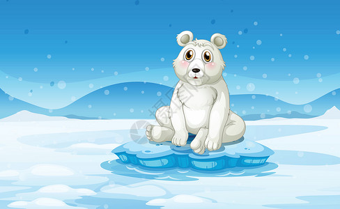 雪带的北极熊高清图片