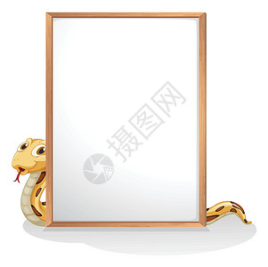 一条拿着空白板的蛇背景图片
