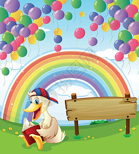 带彩虹的分割线在木板旁边的鸭子 带着漂浮气球和雨设计图片