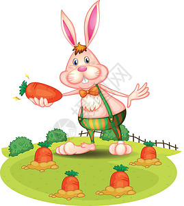 小男孩和兔子农场的兔子和胡萝卜丝带绘画土壤收成食物橙子树叶栅栏作物杂草设计图片