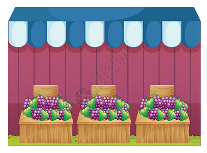 老市场水果摊果实和葡萄市场条纹角落双方长方形植物水果食物矿物质木头插画