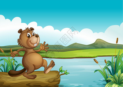 伊雷木湖浮木上方的海狸插画