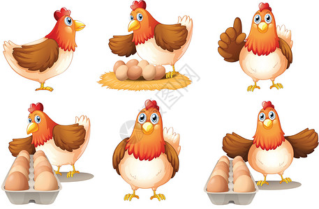 鸡和蛋六只母鸡插画