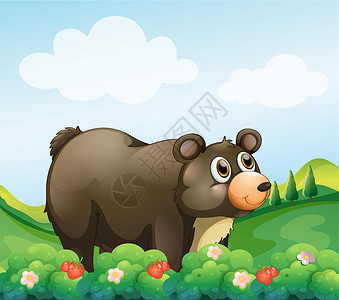 草莓熊花园里一只棕色大熊插画