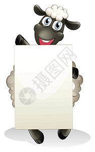 羊肉泡馍广告一只带着空纸板微笑的绵羊设计图片