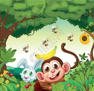 森林中充满快乐的动物猴高清图片素材