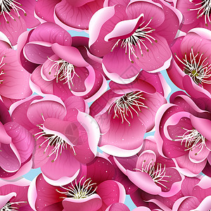 福岛樱花花的无缝模式樱花玫瑰用品婚礼插图花园墙纸妈妈们植物群花朵插画