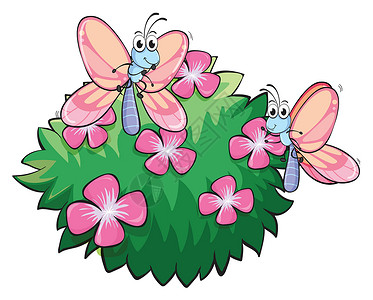 炭烧金银花植物附近的两只蝴蝶 用粉红花朵设计图片