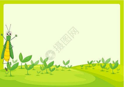 蚂蚱草地昆虫漏洞天空灌木风景农村绿色眼睛天线背景图片