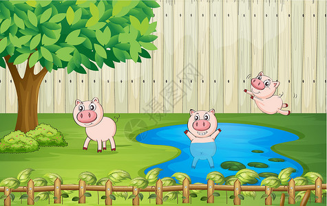 仔猪后院的猪插画