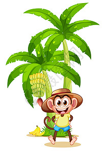 香蕉厂附近的一只快乐的猴子幸福高清图片素材