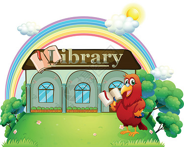彩虹鹦鹉在图书馆前看红鹦鹉的书插画