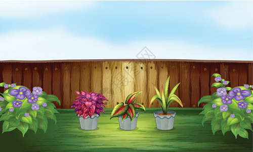 圆明园内风景高围栏内植物水壶设计图片