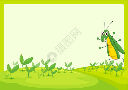 蚂蚱生活眼睛横幅绘画风景甲虫漏洞昆虫动物荒野背景图片