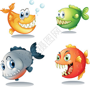 河长制素材四种不同种类的长着大尖牙的鱼设计图片