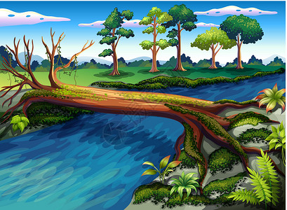 苔藓河河边一棵有藻类的树设计图片
