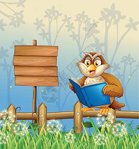 木书猫头鹰在木签牌旁读书插画