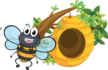 蜂蜜蜂巢在蜂蜜旁边微笑的蜜蜂插画