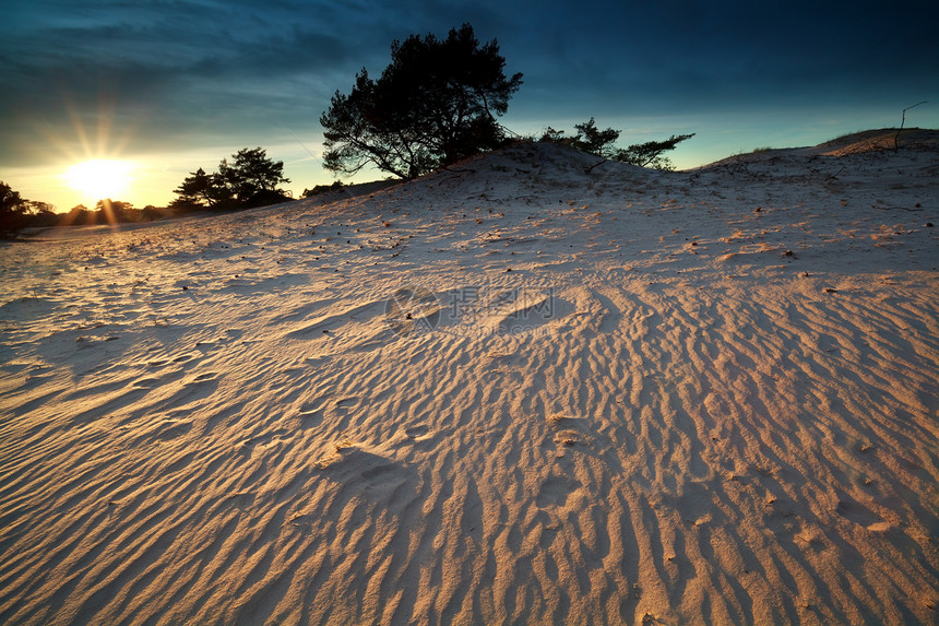 沙丘上的金色夜晚阳光海浪星星乡村金子日落爬坡农村黄色太阳风景图片