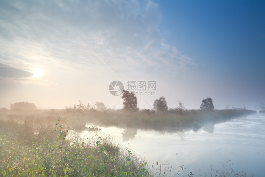 夏天雾在沼泽中日出图片