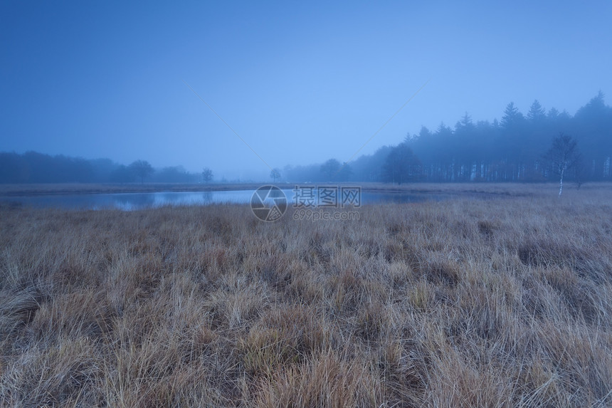 在湖上清晨 平静的秋雾图片