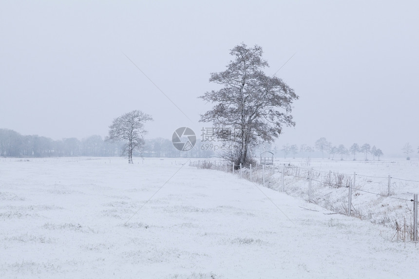 冬季荷兰农田天气白色农村场地草地季节性乡村薄雾季节风景图片
